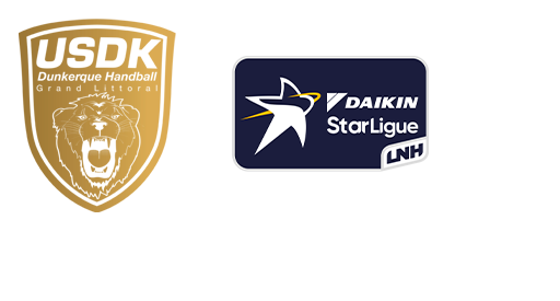 logo dégradé +DSL sans fond